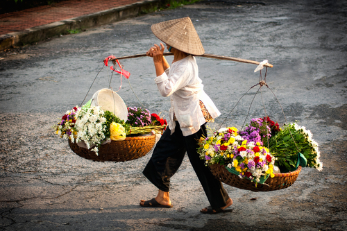 תמונת נוף בוייטנאם